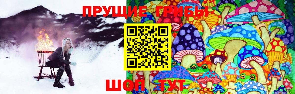 Бор  Псилоцибиновые грибы Cubensis  Галлюциногенные грибы Magic Shrooms  Вход с VPN 