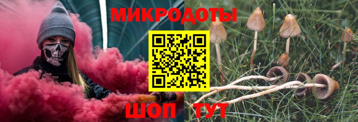 Псилоцибиновые грибы MAGIC MUSHROOMS Бор